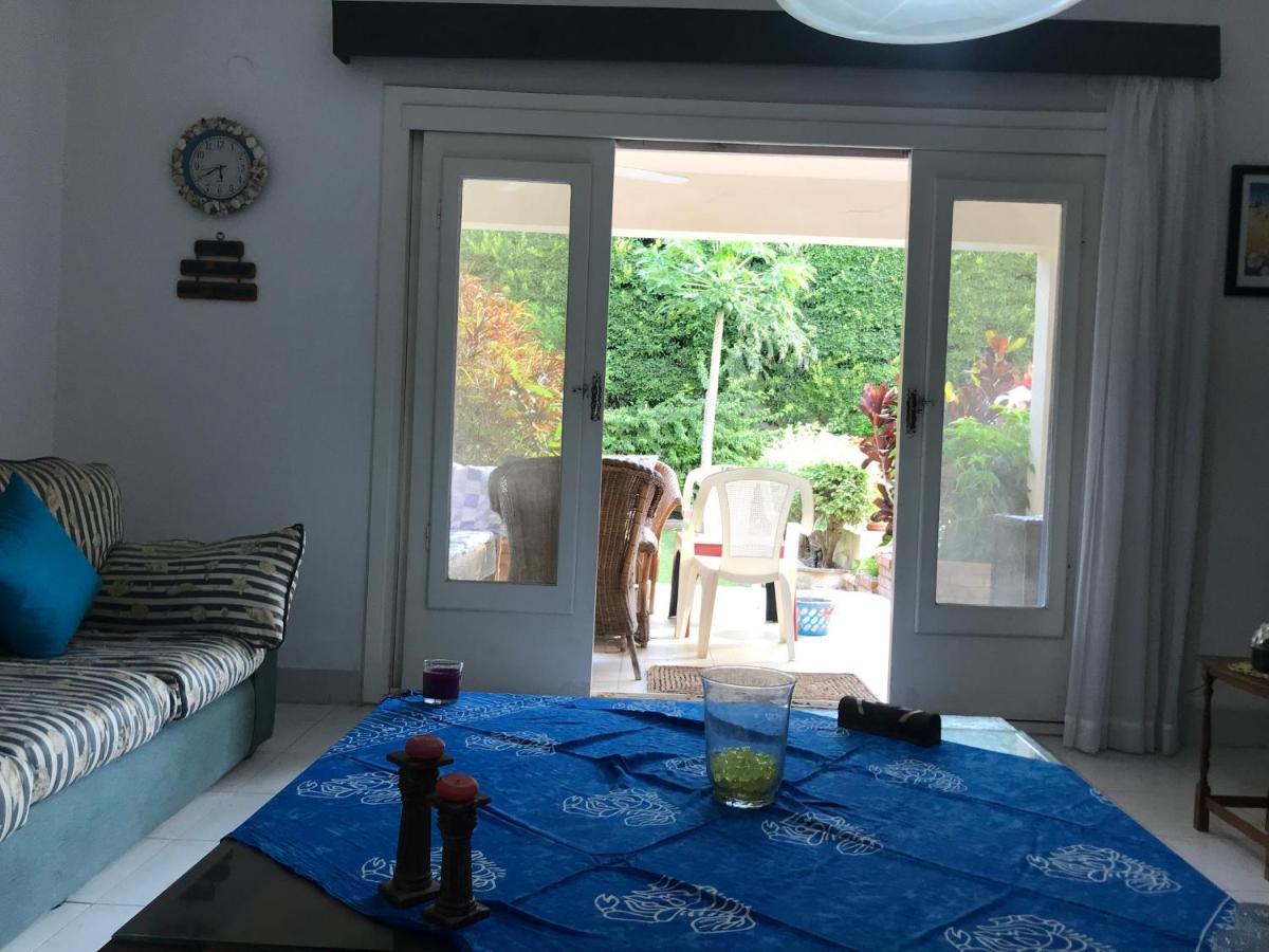 Chez Nagy Alexandria